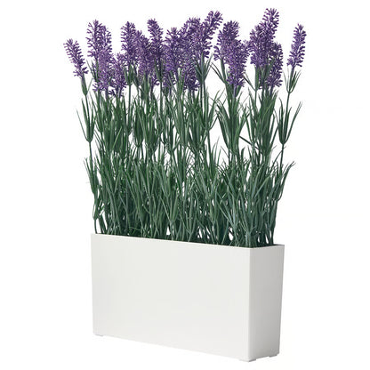 Planta lavanda con maceta