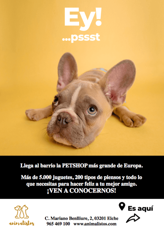 PLANTILLA GRATIS FLYER COMERCIO