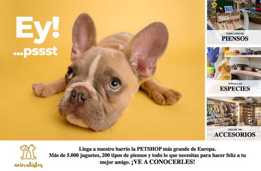 PLANTILLA GRATIS CARTEL COMERCIO