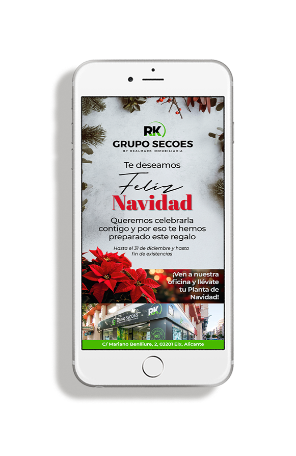 FLYER DIGITAL NAVIDAD (REGALO PLANTA)
