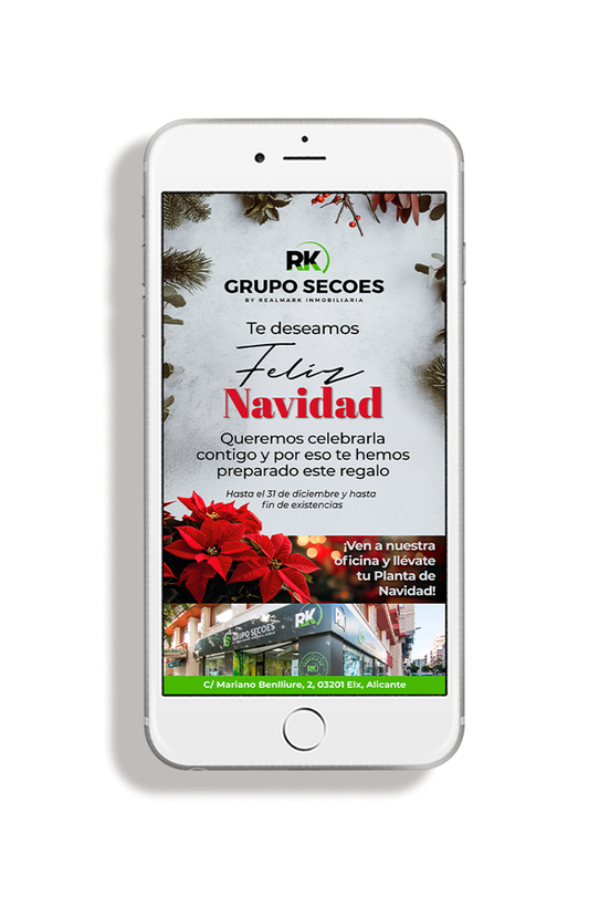 FLYER DIGITAL NAVIDAD (REGALO PLANTA)